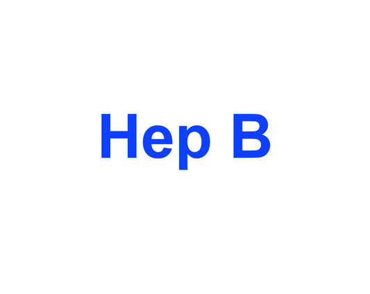 Hep B (Surface Antigen )