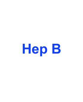 Hep B (Surface Antigen ) 