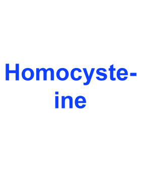 Homocysteine, Plasma