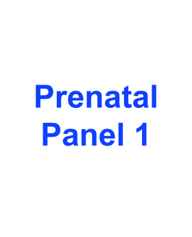 Prenatal Panel 1