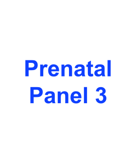 Prenatal Panel 3