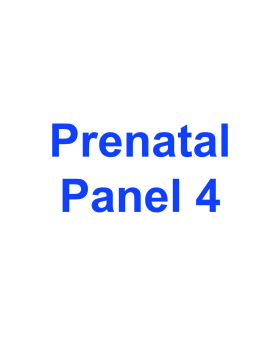 Prenatal Panel 4