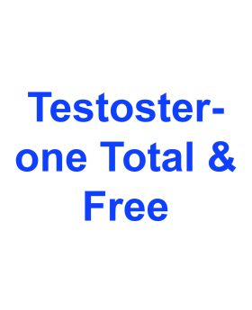 Testosterone (Total & Free) 