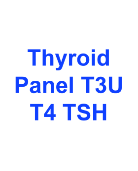 Thyroid Panel (T3, T4, T7, TSH)